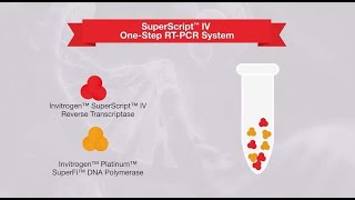 1step vs 2step RTPCR—which one is right for your application [upl. by Latham]