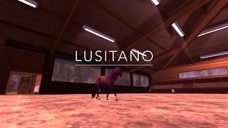 Lusitano Star Stable [upl. by Anaehr]