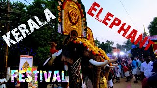 Temple  Festival  Kerala  Elephant  People  Spiritual  India  Video 16 shailpoints [upl. by Cherian730]