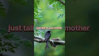 Talk to your mother ❤️❤️love shortsfeed motherslove youtube yt viralshorts [upl. by Ultan]