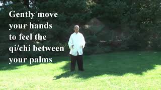 Tai Chi Qigong Shibashi Set 1  by Master Wing Cheung [upl. by Yro769]