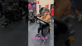 Concentrated bicep curl machine [upl. by Clerk]