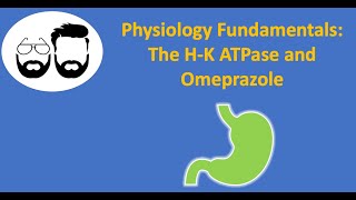 Physiology Fundamentals HK ATPase and Omeprazole [upl. by Saleme]