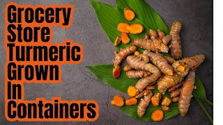 How To Make Turmeric Powder At Home  2 ways [upl. by Irrehc679]