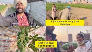 Ajj lyia mai te aunty ji ne bhindia  Kacha papita lai aya mai v [upl. by Carly406]