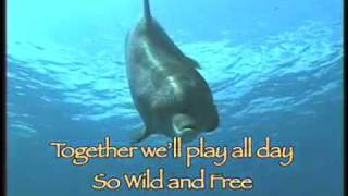 Dolphin Song with Lyrics [upl. by Barny955]