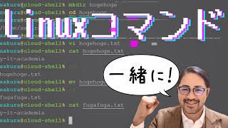 超絶簡単！一緒にLinuxコマンド打ってみよう！登録インストール不要で、お手軽ハッカー気分！【Linuxゼミ その1】 [upl. by Annayt79]