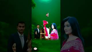 mukh milamili💔tamim Iqbal wife ayeshashakib al hasan wife shishir ahmed তামিম আয়েশা amp সাকিব শিশির [upl. by Llerrem615]