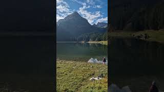 🇨🇭 SCHWEIZER BERGSEE SEEALPSEE 🌲 shorts switzerland alps nature forest wildlife [upl. by La Verne]