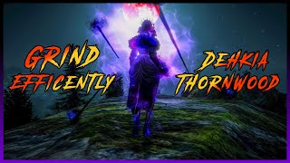 BDO Updated Dehkia How to Efficiently Grind Thornwood Forest [upl. by Aihseyn]