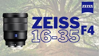 Sony VarioTessar T FE 1635mm f4 ZA OSS Lens  First and Last Impressions [upl. by Yttak]