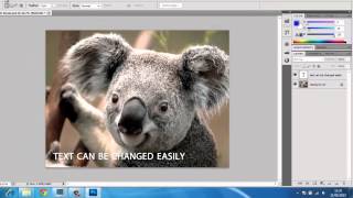 What is PSD File Format [upl. by Toiboid]