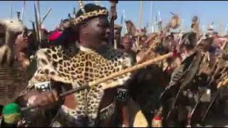 best Zulu warrior Chants [upl. by Cirdes]