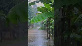 Pluie Relaxante pour Dormir en 23 Secondes asmr pluie rain [upl. by Averir]