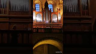 Concert orgue voix extrait du Pie jesu  GFauré [upl. by Gavrielle833]