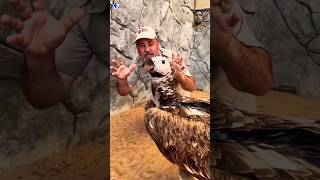 Scariest bird sound PT1✅ amazingfacts animals interestingfacts shorts [upl. by Krantz]