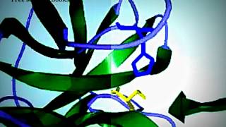 Chymotrypsin mechanism of action [upl. by Laekcim]