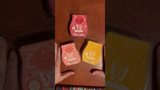 Scentsy Valentine Collection scentsy valentinesday valentineidea wax waxmelts [upl. by Rafaela]