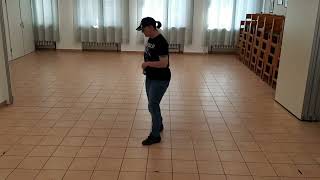 Beer For My Horses Lernvideo Teach amp Dance Line Dance Biene Teil 1 [upl. by Pearl]