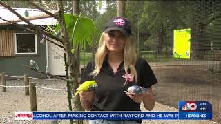 DESTINATION LOUISIANE An inside look at the Louisiana Purchase Gardens and Zoo [upl. by Ibok]