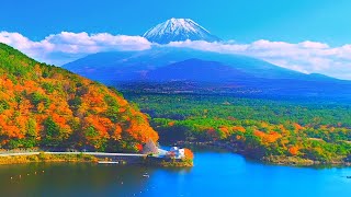 4K映像 絶景ドローン空撮「富士山 秋 紅葉の精進湖・青木ヶ原」日本の美しい四季 山梨県富士河口湖町 11月中旬 自然風景 富士五湖 [upl. by Ree912]