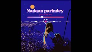 Nadaan parindeySlowed and reverb by the installing boy [upl. by Asined]