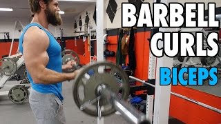 BARBELL CURLS  Biceps  HowTo Exercise Tutorial [upl. by Nickie]