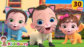 Three Little Kitten In the House  Alphabet Song and More Nursery Rhymes amp Baby Songs  Kidsberry [upl. by Aysa517]