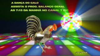 DANÇA DO GALO [upl. by Yelsha340]