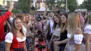 Die Partyfürsten  AltmainWeinfest Sand am Main 2018 [upl. by Debbi88]