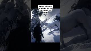 How to get the Elite White Arabian Horse Red Dead Redemption 2 reddeadredemption rdr2 [upl. by Rebor443]