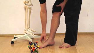 Posture Training 3 The forefoot strike  Natural walking for pain relieve [upl. by Assilak]