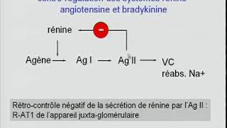 Pharmacologie des inhibiteurs de lenzyme de conversion de angiotensine II IEC ARA II [upl. by Staffan]