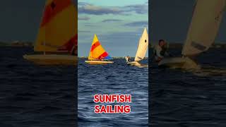 Sunfish Sailing and racing at Wet Pants Sailing Sayville NY [upl. by Lucho]