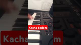 Kacha badam pianocover music viralsong viralvideo trendingshorts [upl. by Hills]