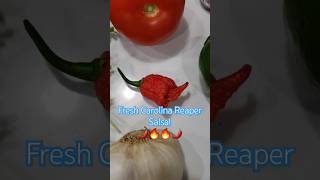 Fresh Carolina Reaper straight from the garden Salsa 🌶️🔥 Bring on the Heat 🔥🌶️ carolinareaper [upl. by Ater]