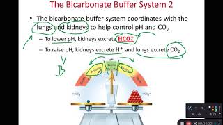 How to prepare phosphate buffer solution pH 72 [upl. by Noami]