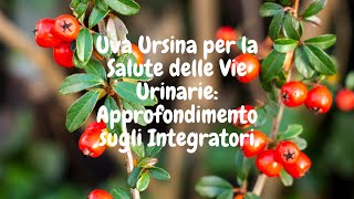 Uva Ursina a Cosa Serve questa Antica Erba Benefici e Proprietà dellUva Ursina [upl. by Saeger644]