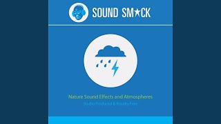 Trickling Stream Sound Effect [upl. by Garett760]