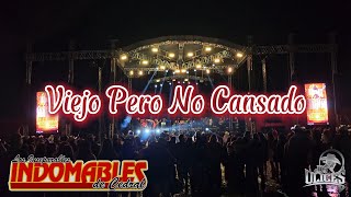 Los Indomables De Cedral  Viejo Pero No Cansado ♪ Peñasco SLP • 14092024 [upl. by Moskow]