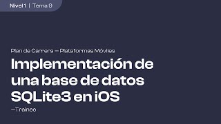 Implementación de una base de datos con SQLite3 en iOS [upl. by Alihs]