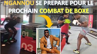 FRANCIS NGANNOU PRÉPARE SON PROCHAIN COMBAT DE BOXE [upl. by Nylloh]