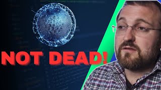 Cardano is NOT DEAD [upl. by Eveineg]