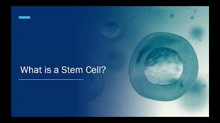 Outpatient Autologous Stem Cell Transplant  Moffitt Cancer Center [upl. by Anilatak]