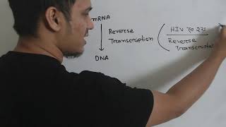 2Transcription ।। HSC 22 ASSIGNMENT02 [upl. by Kristien]