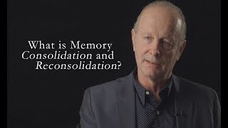 What is Memory Consolidation and Reconsolidation [upl. by Clementi98]