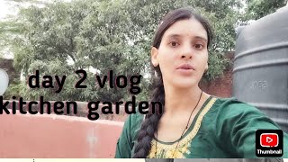 Day 2 vlog  kitchen garden  daily vlogs [upl. by Valentia]