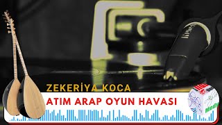 ZEKERİYA KOCA  Atım Arap Oyun Havası [upl. by Ekaj]