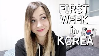 MY FIRST WEEK LIVING IN KOREA [upl. by Sande]