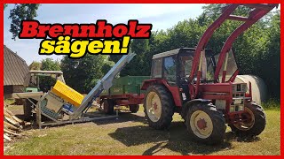 Binderberger Wippsäge mit Förderband WS 700 FB Z  Deutz 5006 amp IHC 745 [upl. by Ammamaria]